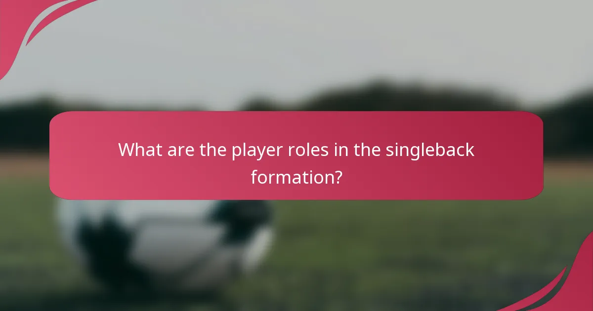What are the player roles in the singleback formation?